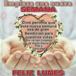 Inspiración en citas para cada día de la semana